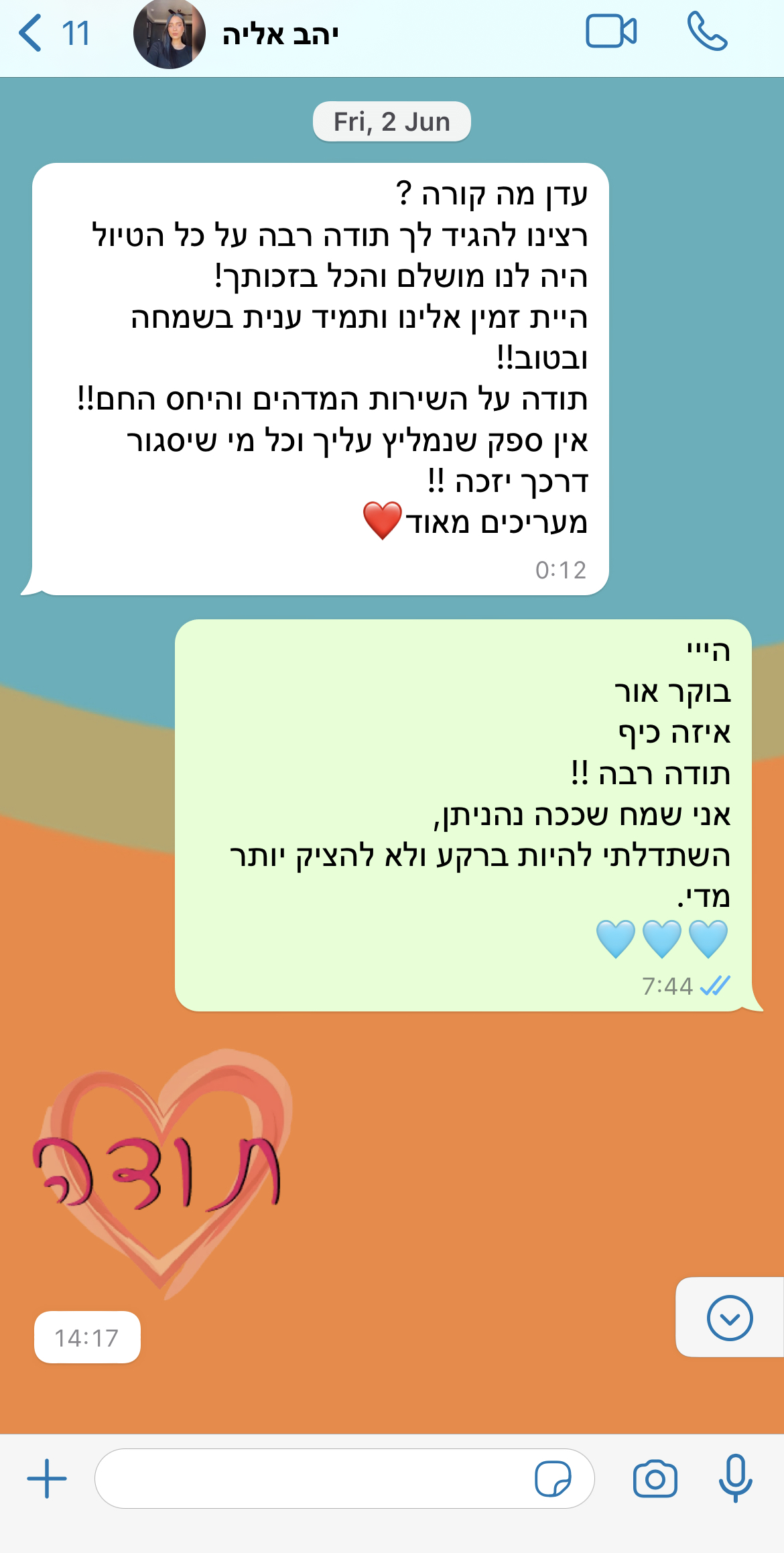 צילום מסך של שיחה עם לקוח