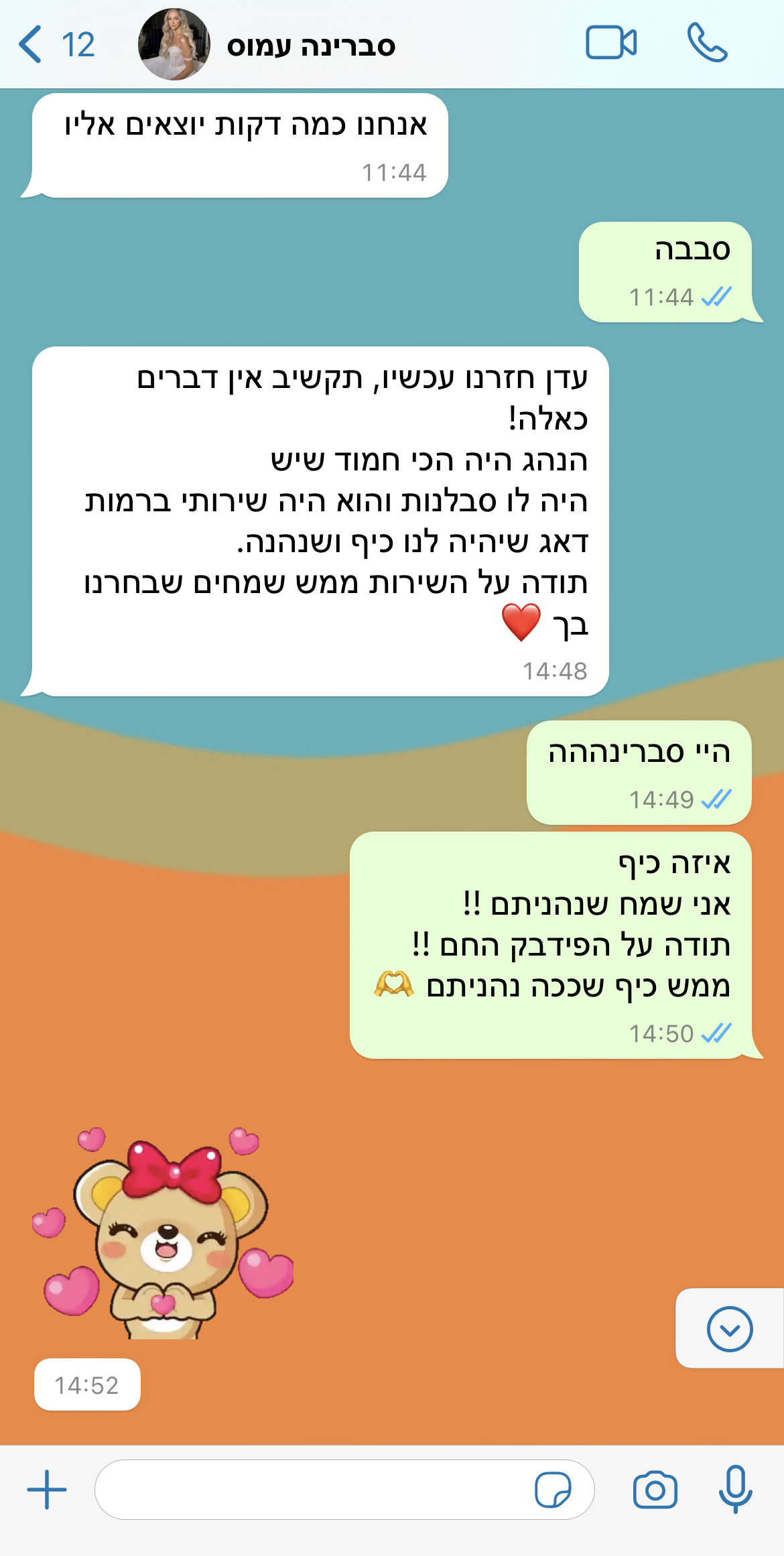 צילום מסך של שיחה עם לקוח